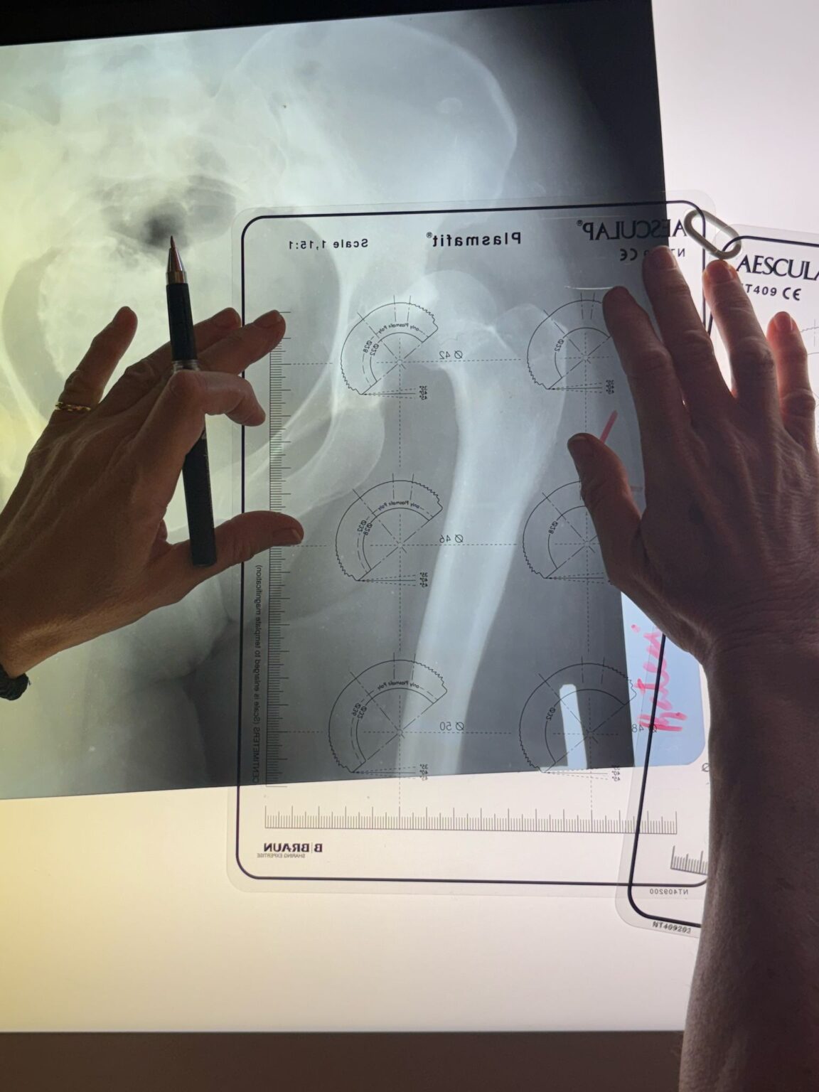 WhatsApp Image 2025-04-12 at 14.01.05