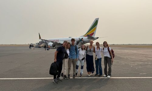 SECCIÓN NUESTROS PROYECTOS